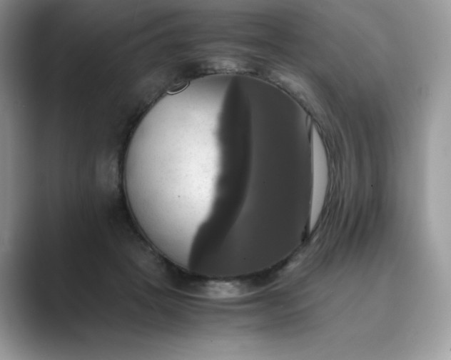 X0000089730457200707051742