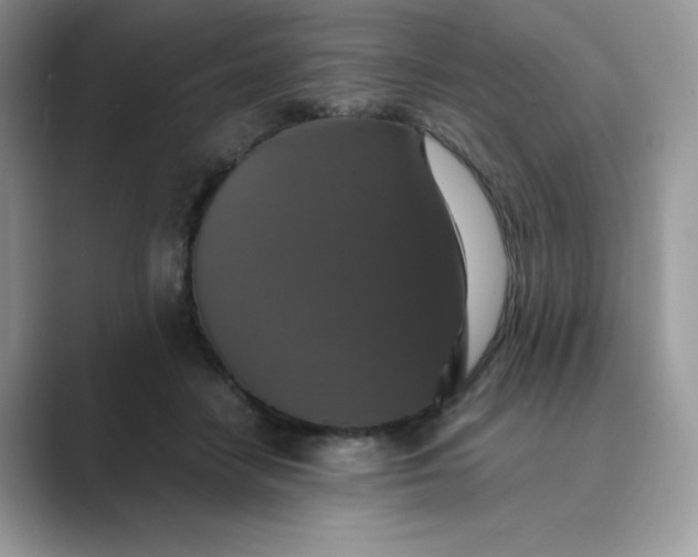 X0000089730458200707051742