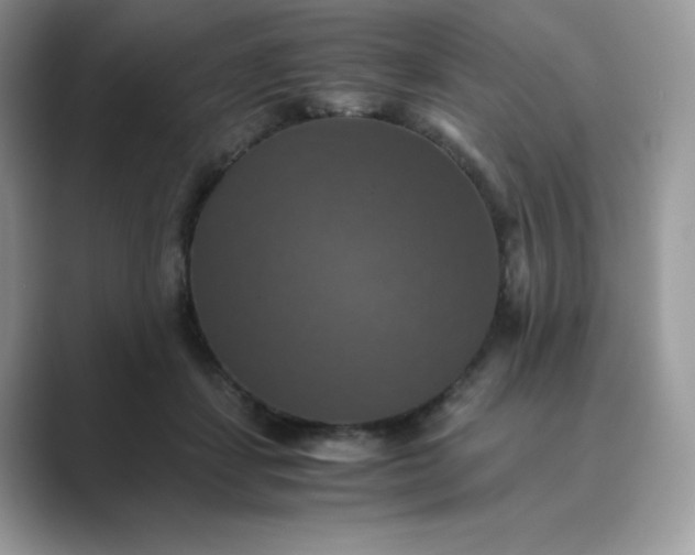 X0000089730459200707051742
