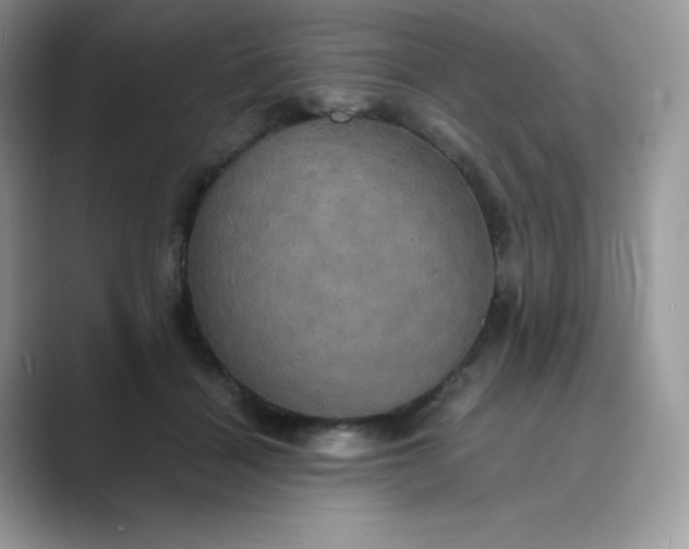 X0000089730460200707051742
