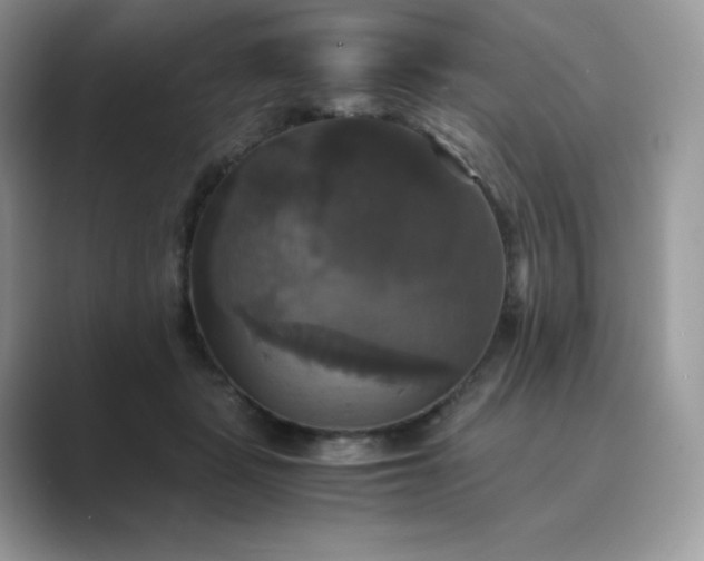 X0000089730461200707051742