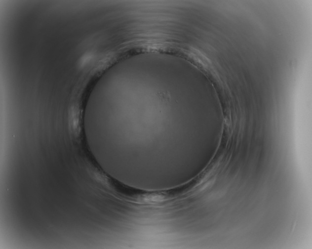 X0000089730462200707051742