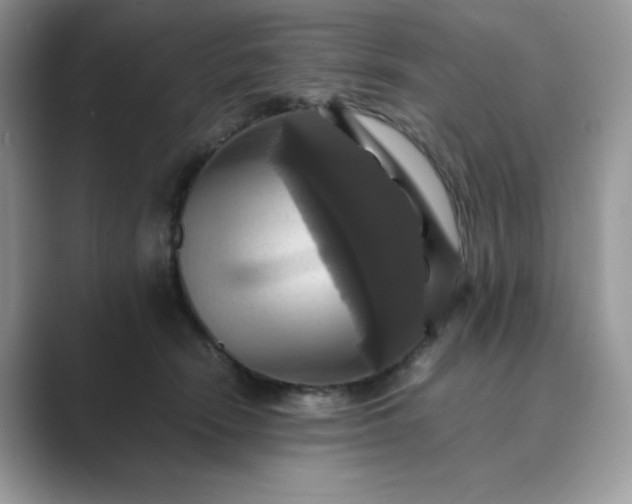 X0000089730466200707051742