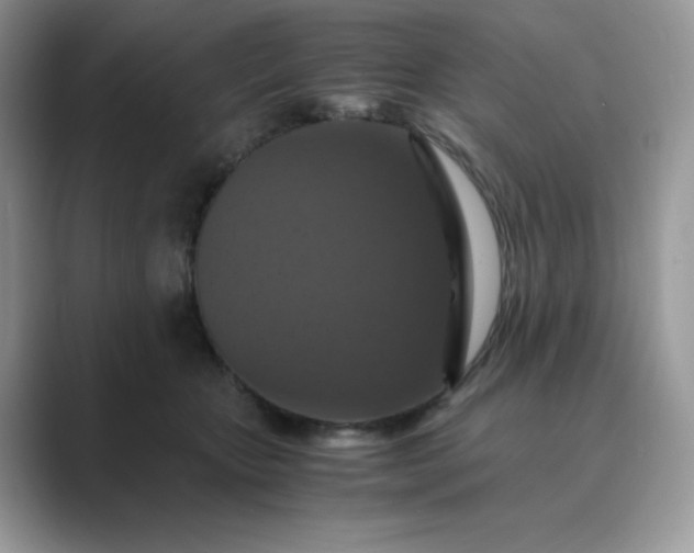 X0000089730467200707051742