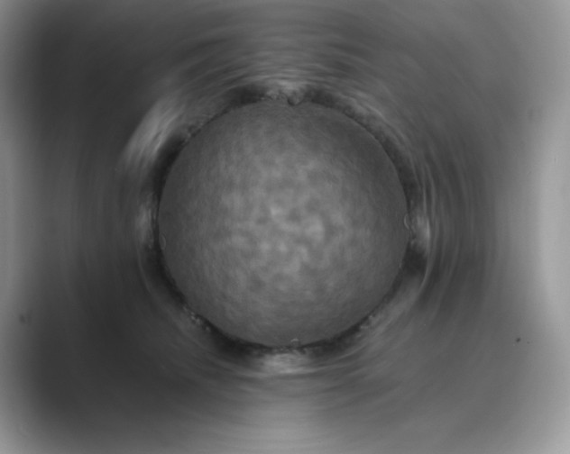 X0000089730468200707051742