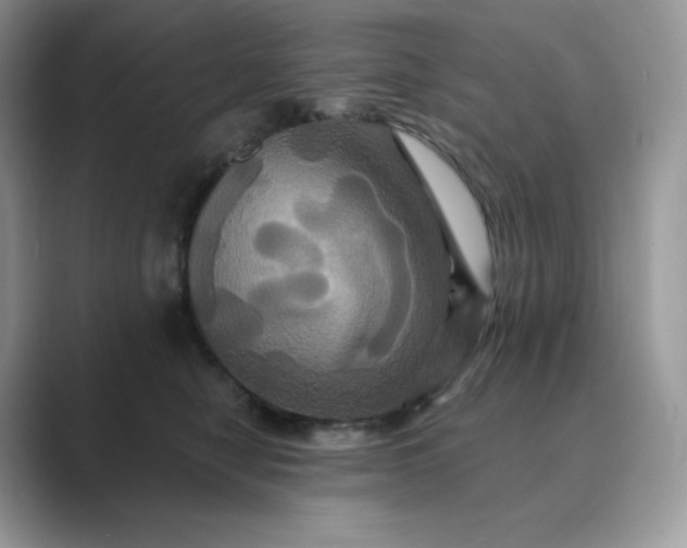 X0000089730470200707051742