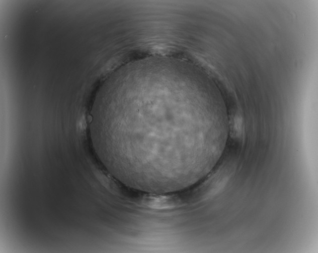 X0000089730472200707051742