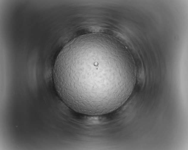 X0000089730473200707051742