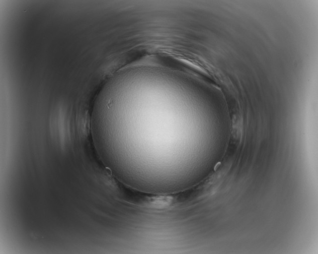 X0000089730474200707051742