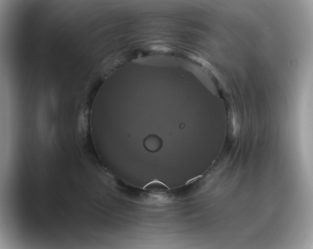X0000089730475200707051742