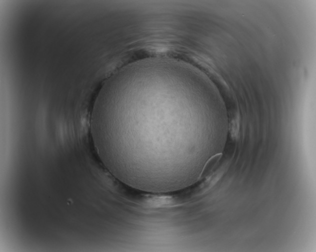 X0000089730476200707051742
