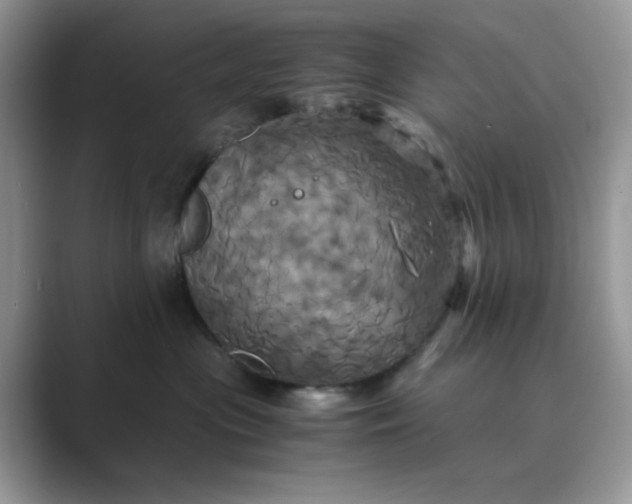 X0000089730477200707051742
