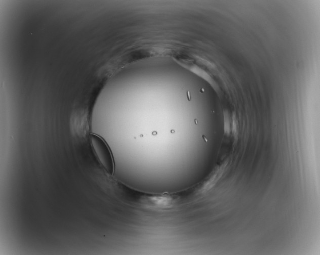X0000089730478200707051742
