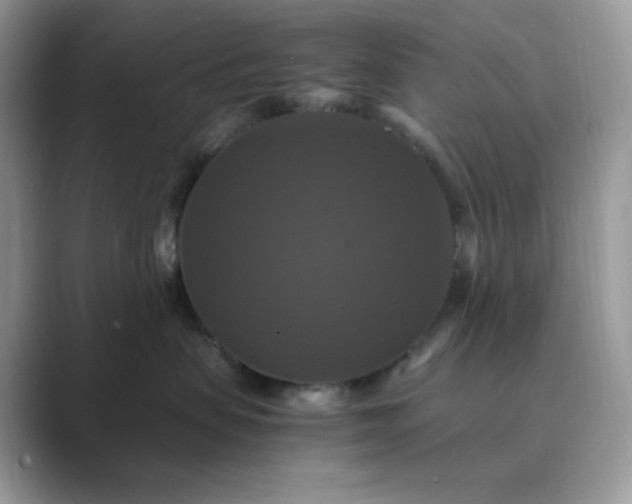 X0000089730479200707051742