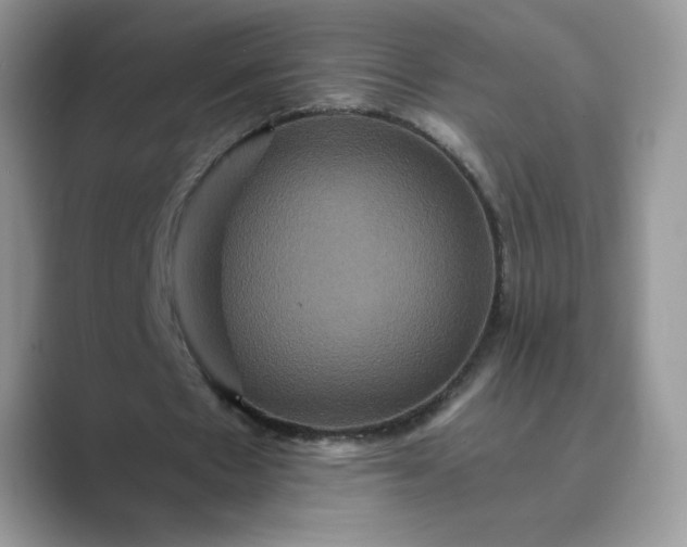 X0000089730481200707051741