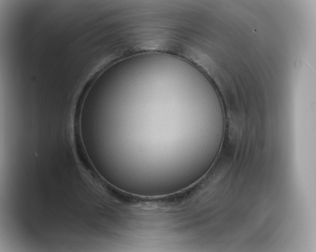 X0000089730482200707051741