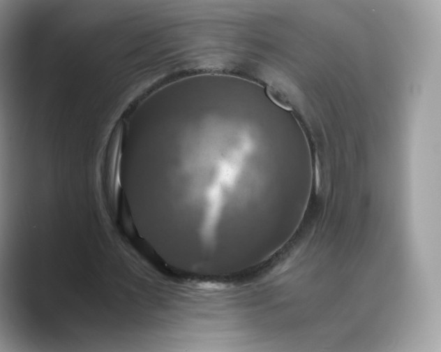 X0000089730483200707051741