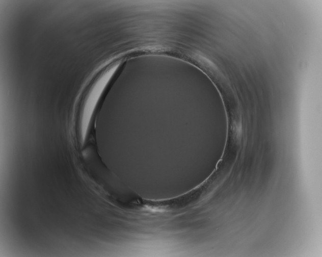 X0000089730484200707051741