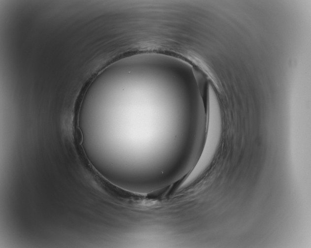 X0000089730485200707051741