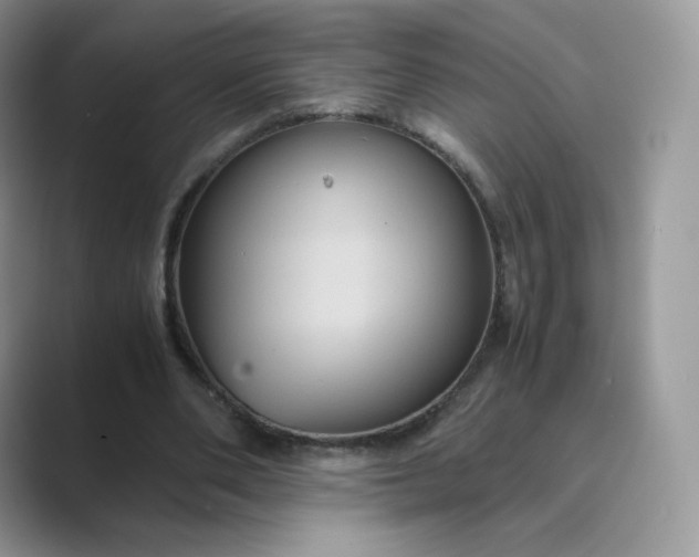 X0000089730486200707051741