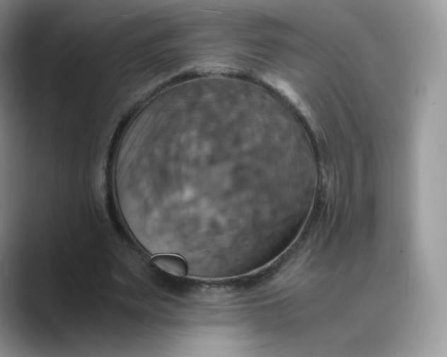X0000089730487200707051741