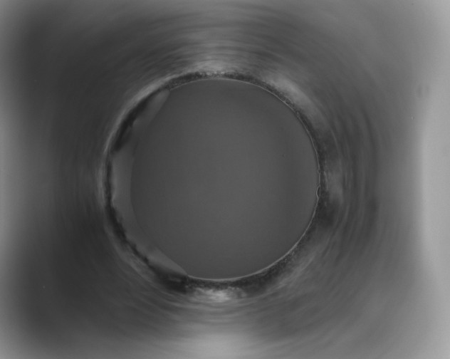 X0000089730488200707051741