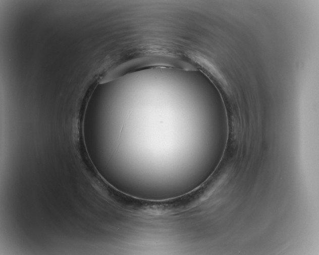 X0000089730489200707051741
