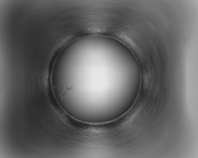 X0000089730490200707051741