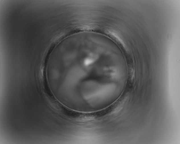 X0000089730491200707051741