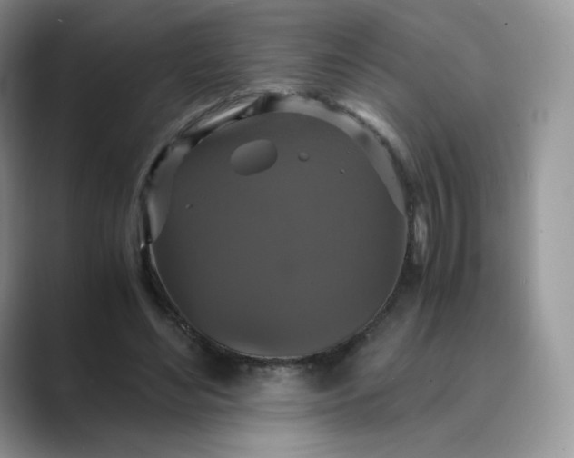 X0000089730492200707051741