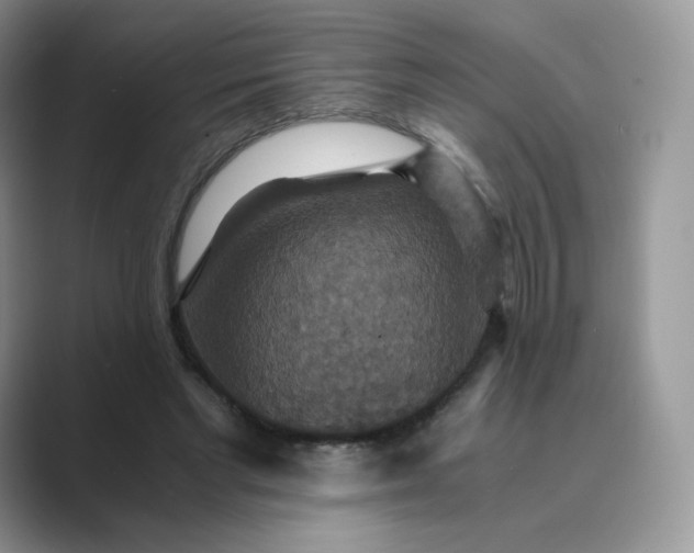 X0000089730493200707051741