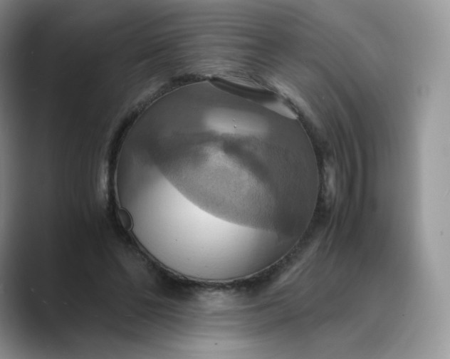 X0000089730494200707051741