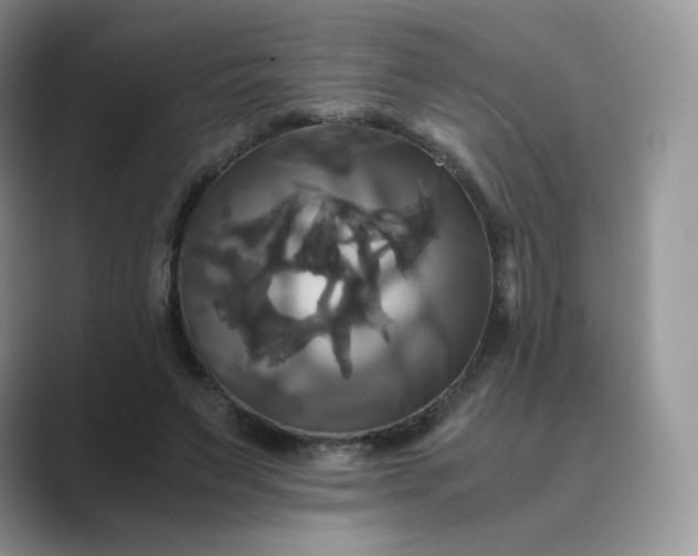 X0000089730495200707051741