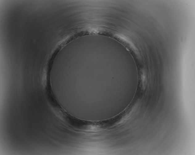 X0000089730496200707051741