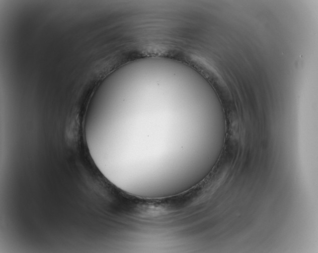 X0000089730498200707051741