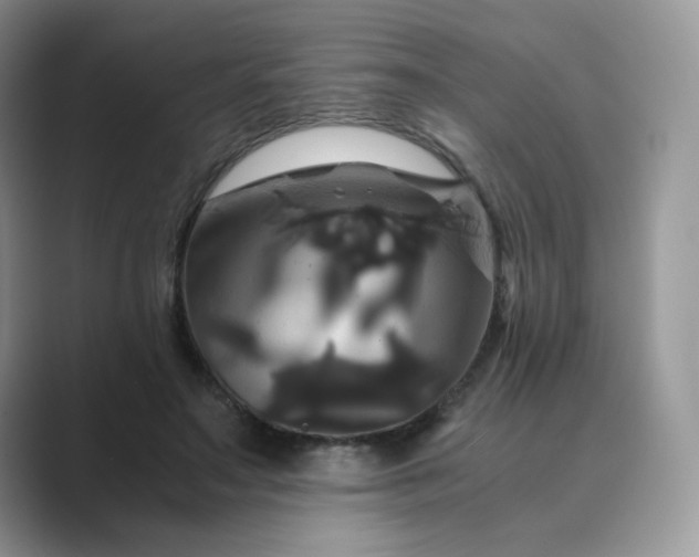 X0000089730499200707051741