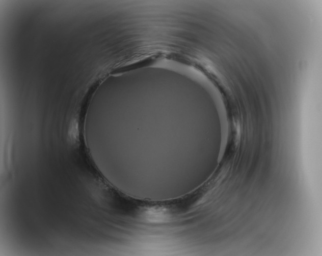 X0000089730500200707051741