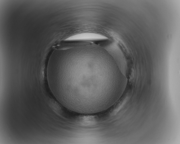 X0000089730501200707051741