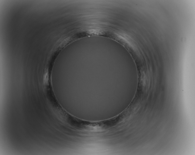 X0000089730502200707051741