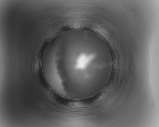 X0000089730503200707051741
