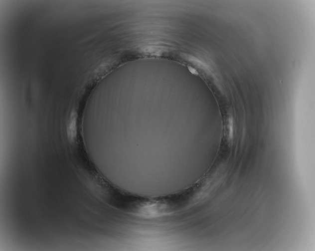 X0000089730504200707051741