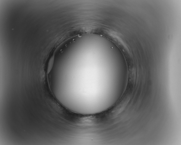 X0000089730505200707051741
