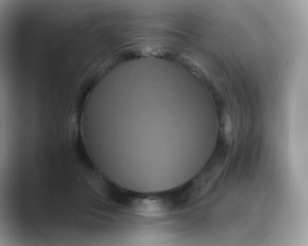 X0000089730506200707051741