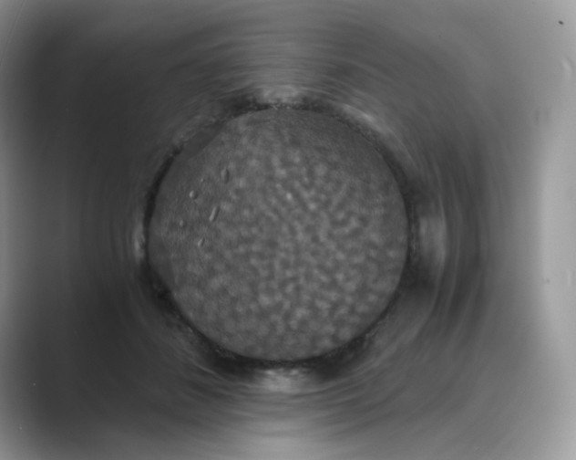 X0000089730508200707051741