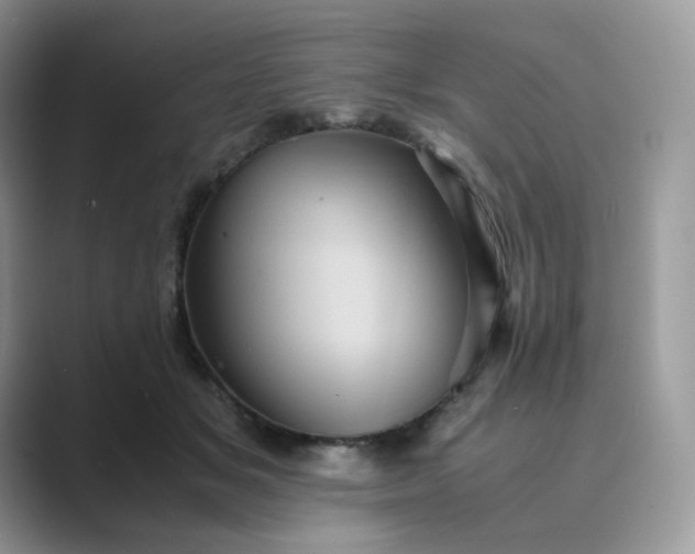 X0000089730509200707051741