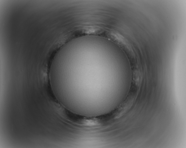 X0000089730510200707051741