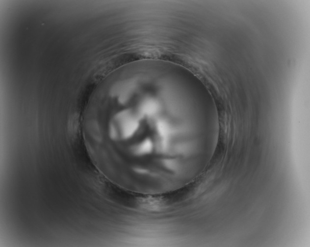 X0000089730511200707051741
