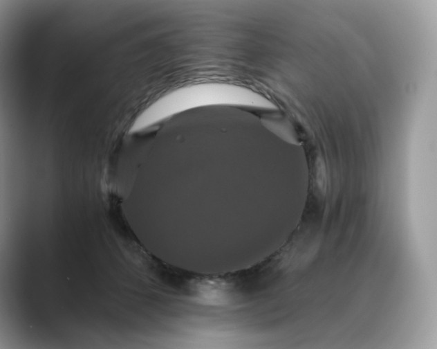 X0000089730512200707051741