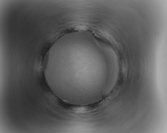 X0000089730513200707051741