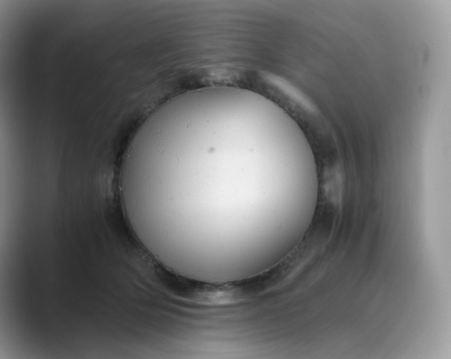 X0000089730514200707051741